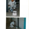1996 RAVA DE VERHUIZING